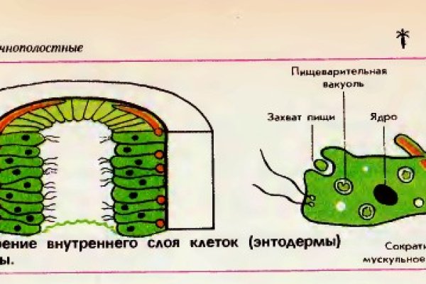 Кракен сайт официальный kraken014 com